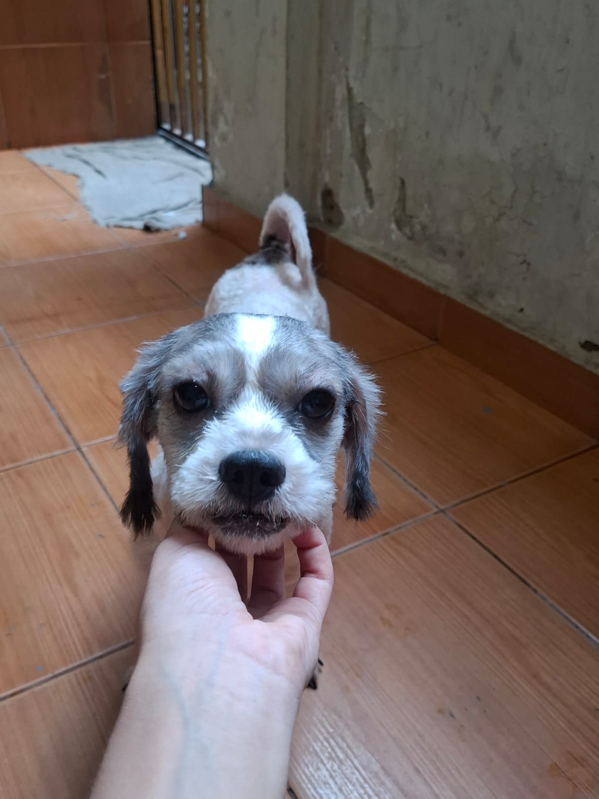 Foto de Luna